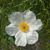 Jeanette Glaze's profile image