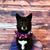Teresa Stapelberg's profile image