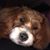Nick Kreutz's profile image