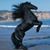 Marvin Pourier's profile image