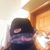 Marcos Olmedo's profile image