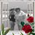 Fran Bruney's profile image