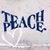 Rhonda Berends Haglund's profile image