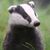 Vince Rasnick's profile image