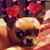 Amelia Vaughn's profile image