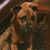 Lori Robinson's profile image
