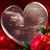 Megan Brunger's profile image