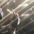 Karen Mareck Grundy's profile image