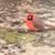 Joyce Tate's profile image