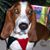 Carolina Yaker's profile image