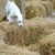 Darla Lacey's profile image