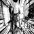Martin Andrade Rivera's profile image