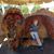 Michelle Napier-Schafer's profile image