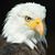 Ruth Roisum's profile image