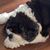 Linda Lynch-Robirds's profile image