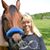 Lisa Mccarty's profile image