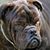 Dale Beckton's profile image