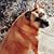 Elizabeth Hannay's profile image