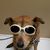 Jucy Burge's profile image