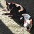 Mike Navis's profile image