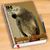 Ali Smith's profile image