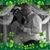 Vicky Green's profile image