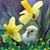 Gail Hafner's profile image