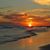 Theresa Koviak Hall's profile image