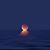 Didi Marriotte's profile image