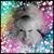 Kimberly Jo Wahl's profile image