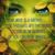 Laura Spendolini's profile image