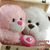 Karen Melcher Hafenstein's profile image