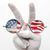 Joe Pecoraro's profile image
