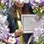 Damaris Flores's profile image