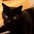 Fran W.'s profile image
