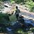 Carlo A DiVirgilio's profile image