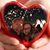 Matt Schultz's profile image