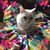 Debbie Mosk's profile image
