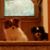 Barb Brady's profile image