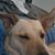 Glenn Tapia's profile image