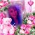 NoRis MarroQuin's profile image