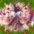 Stephanie Davies's profile image