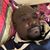 Ernst Florvil's profile image