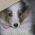 Linda DeFrancesco's profile image