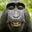 Matt Bausch's profile image