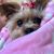 Lindsey Hill Coquet's profile image
