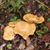 Karen Flynn's profile image