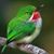 Karen Karlberg's profile image