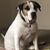 Kelly Ward's profile image