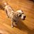 Bonnie Leonard Doyle's profile image